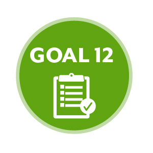 Goal 12