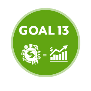 Goal 13